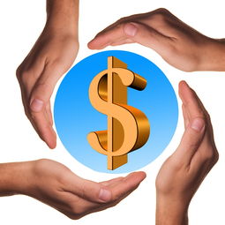 hth电竞-体育教学中增强现实与虚拟现实融合应用，结合教学实践谈谈示范在体育教学中的运用